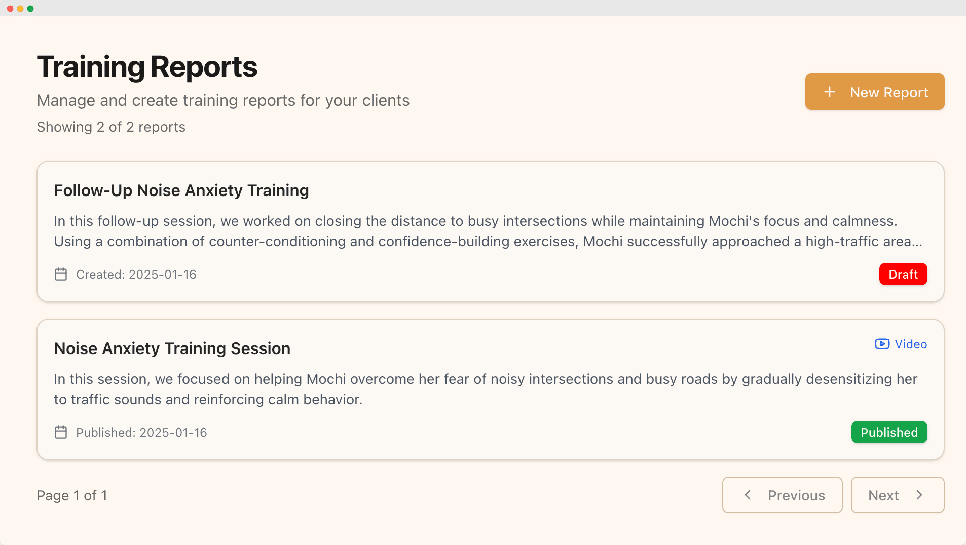 Training report example